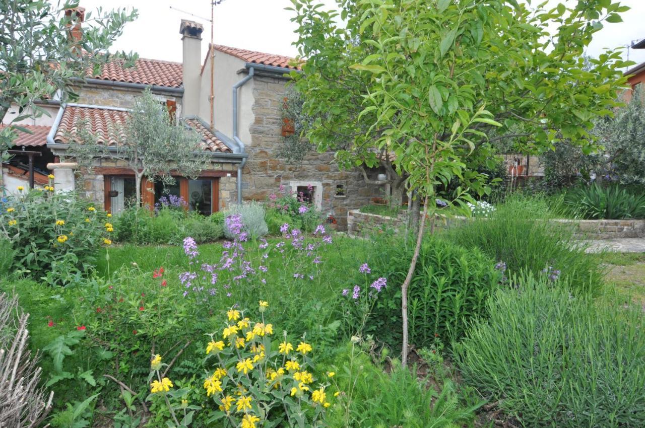 Villa Istrian Stone House à Sečovlje Extérieur photo