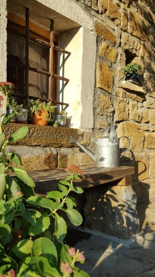 Villa Istrian Stone House à Sečovlje Extérieur photo