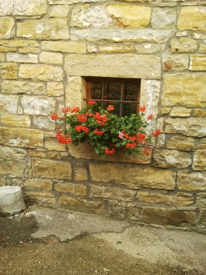 Villa Istrian Stone House à Sečovlje Extérieur photo