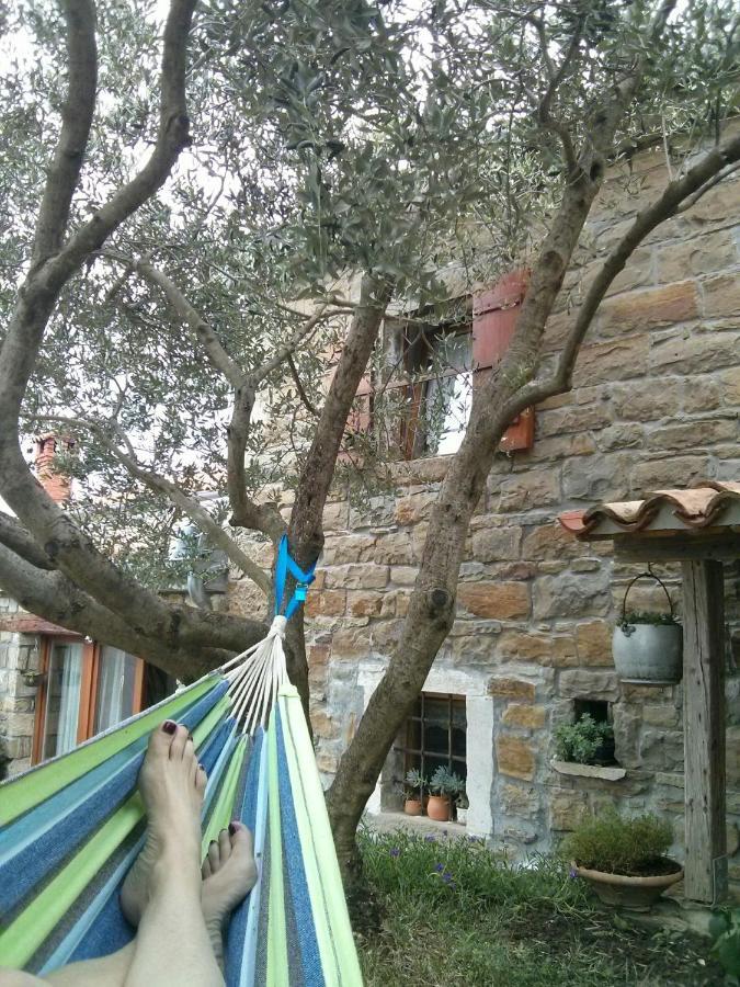 Villa Istrian Stone House à Sečovlje Extérieur photo